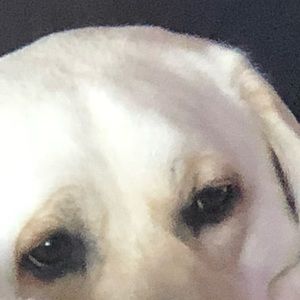 Meet your Posher, Terri